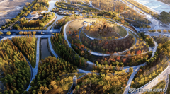 拿下桃浦科技聪慧城地块